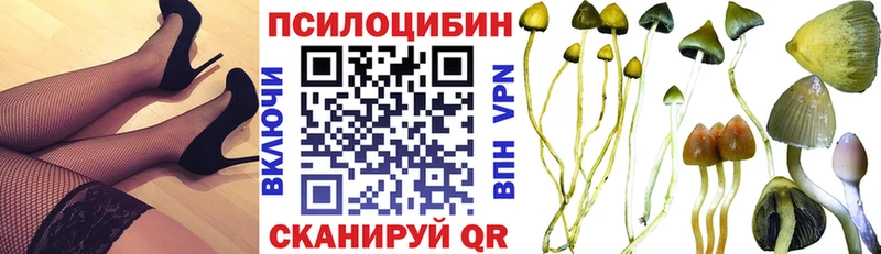 Галлюциногенные грибы Psilocybe  Анадырь 